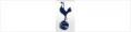 Tottenham Hotspur